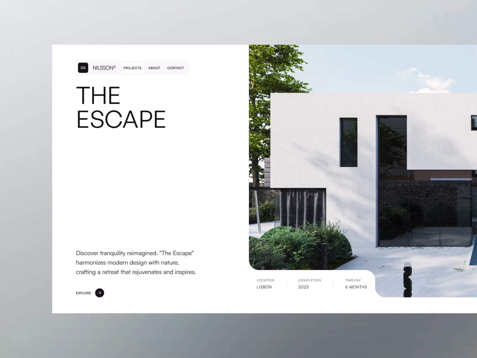 Professional website design with the Nexus touch