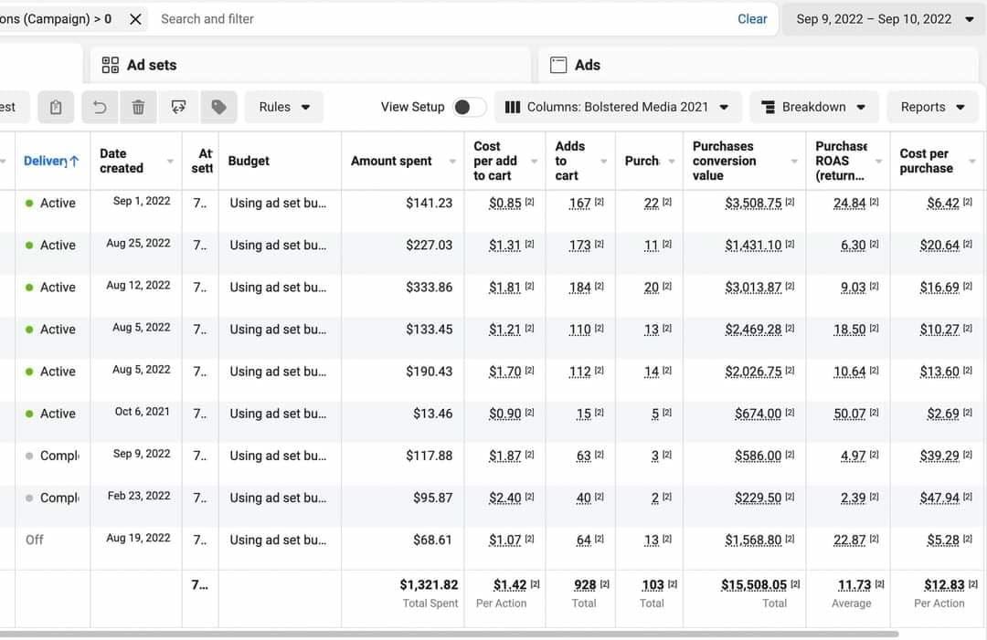 Paid media revenue and lead generation results