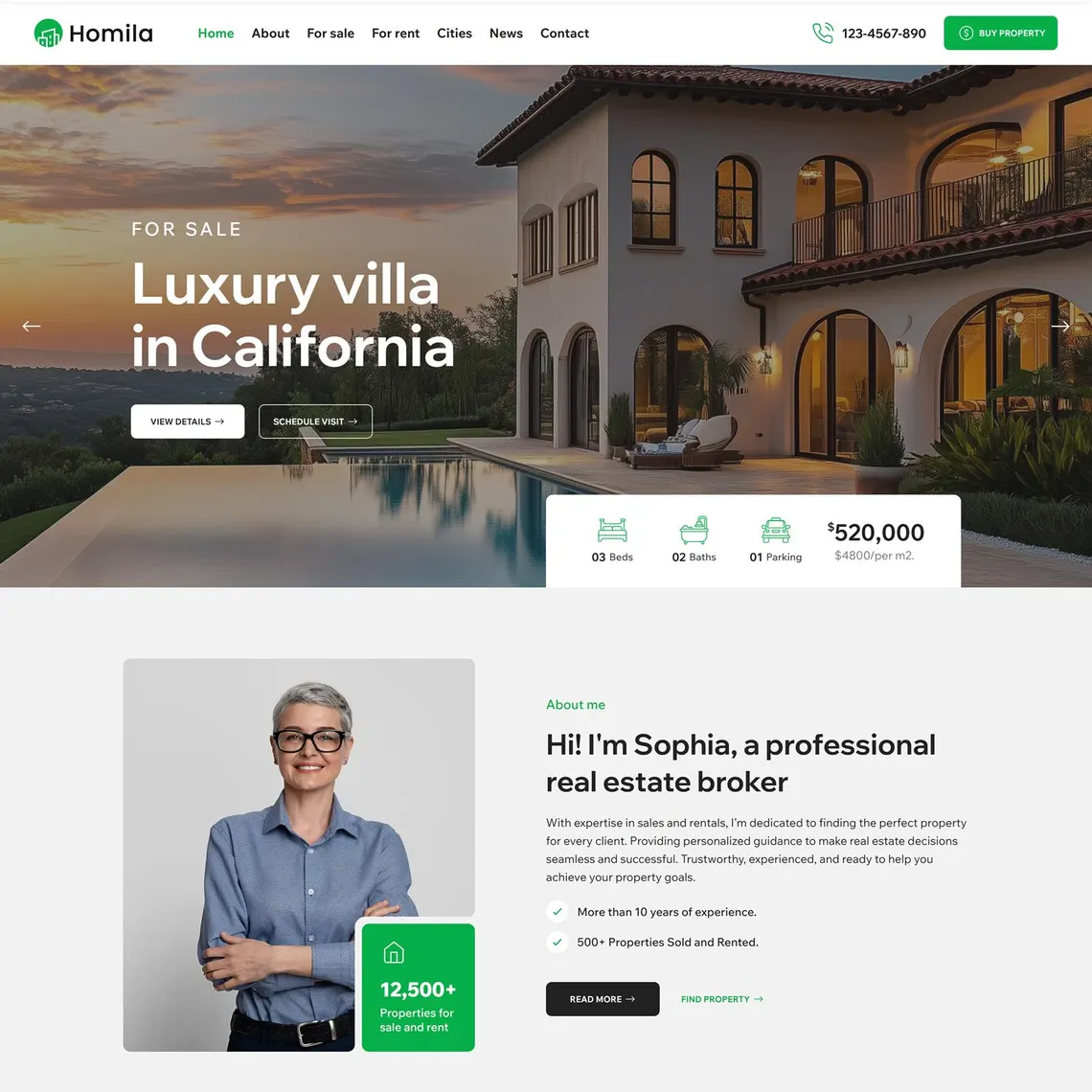 Homila real estate website