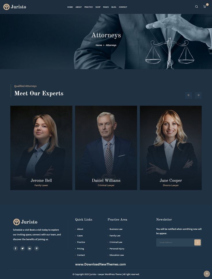 Legal website preview 1